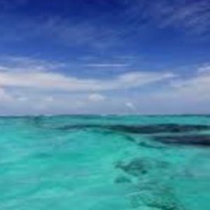 Meet your Posher, Roxy